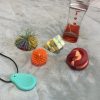 Le P’tit Plus – Le sac des outils essentiels pour une inclusion réussie